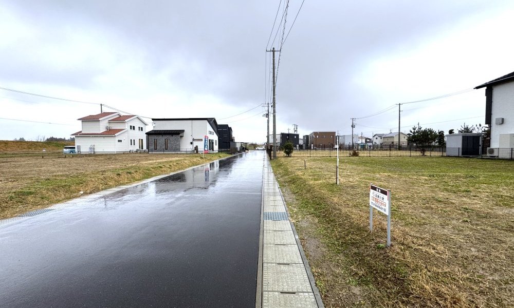 前面道路(北側)