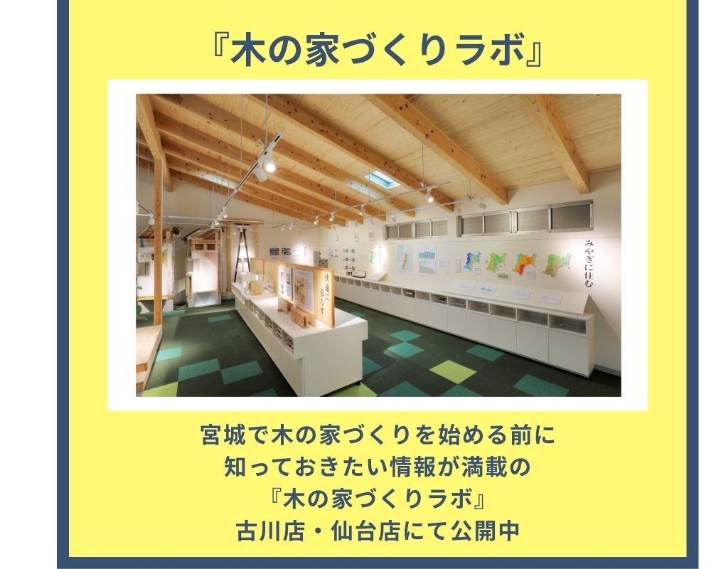 来場プレゼント
