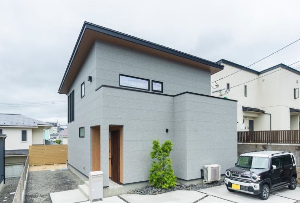 光が降りそそぐ、スケルトンの家
